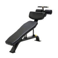 Adjustable crunch bench AP6108 Athletic Performance