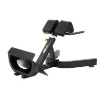 Lower back bench AP6109 Athletic Performance