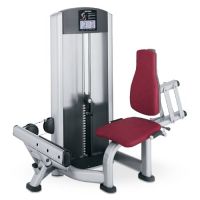 Calf extension FZCE Life Fitness