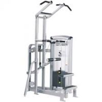 Dip/chin assist 12230 Cybex
