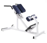 Back extension bench Athletic Performance