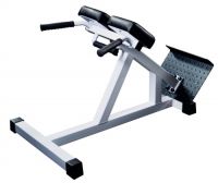 Hyperextension bench GymWorks