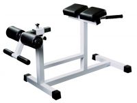 Roman chair GymWorks