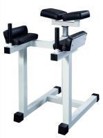 Gluteus hyperextension GymWorks