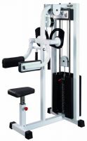 Lateral raise GymWorks