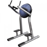 Leg raise SLR Life Fitness