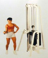 Free standing adjustable pulley SM10 Life Fitness