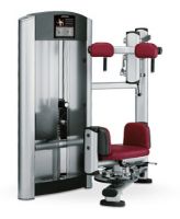 Torso rotation FZTR Life Fitness