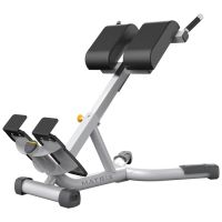 Back extension bench MG-A93 Matrix
