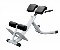 Lower back bench GymWorks