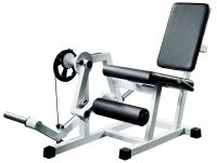 Free weight leg extension GymWorks