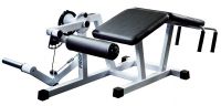 Leg curl GymWorks