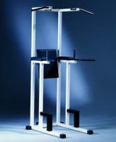 Pull up dip abdominal combo C010 Technogym