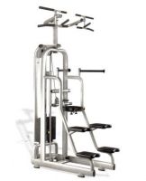 Easy chin/dip M987 Technogym