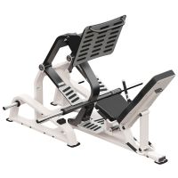 45° leg press GymWorks