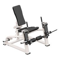 Leg extension GymWorks