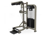 Standing calf PSSC Life Fitness