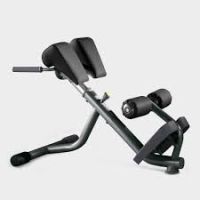 Lower back bench PA05 Technogym